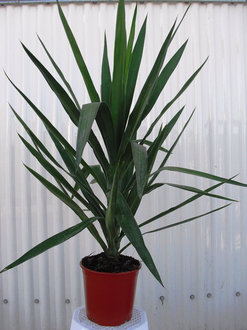 e148d80bb271b212037a1091ccb08d976d136cb3