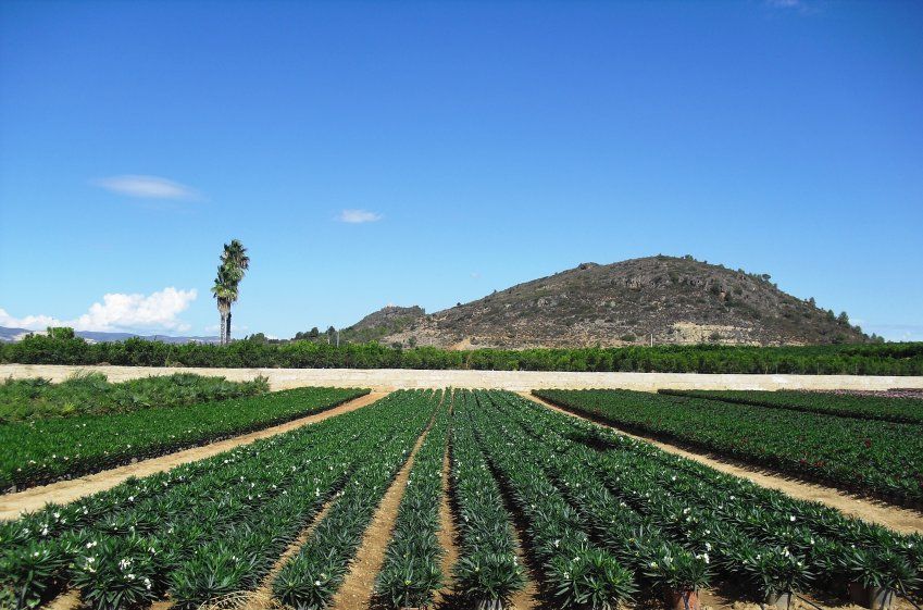 b9f94791f07f086697bd77c3a93d8bfa636a514a