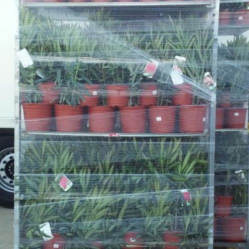 2002 12 08 12 00 00 52822016