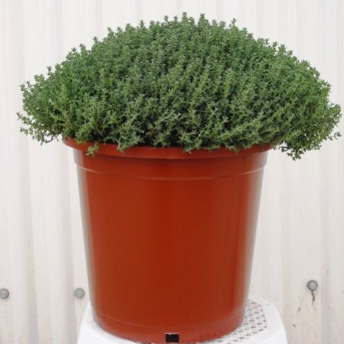 8647543b424f211b1ac589fc291692dc2bd06f61