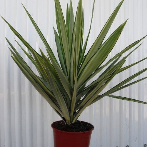 3b7c65cf775c850d6baa05644723aa62bf094506